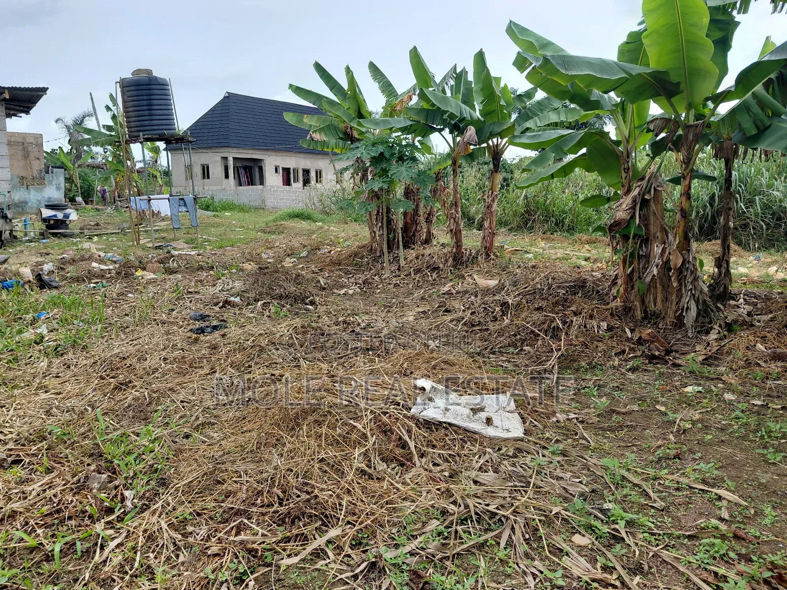 2 Full Dry Plots Opp Adexon Ilado by Value Paint Iguando Alimosho in Ikotun/Igando