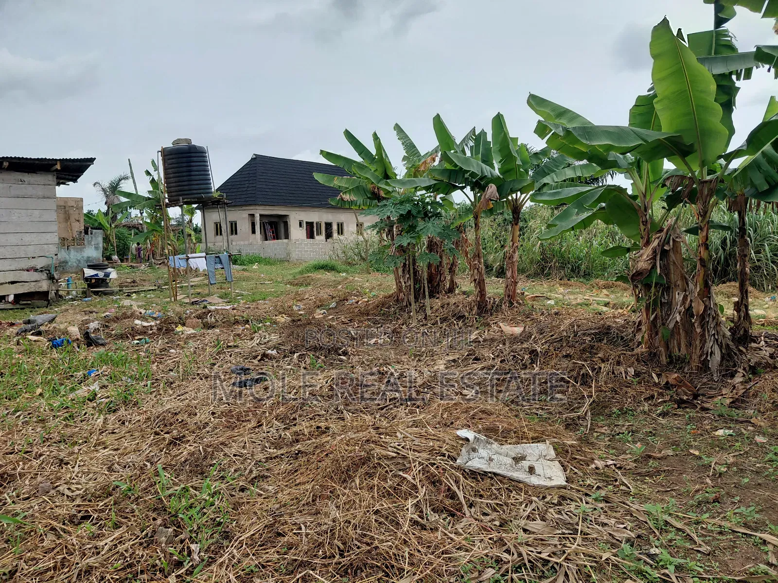 2 Full Dry Plots Opp Adexon Ilado by Value Paint Iguando Alimosho in Ikotun/Igando