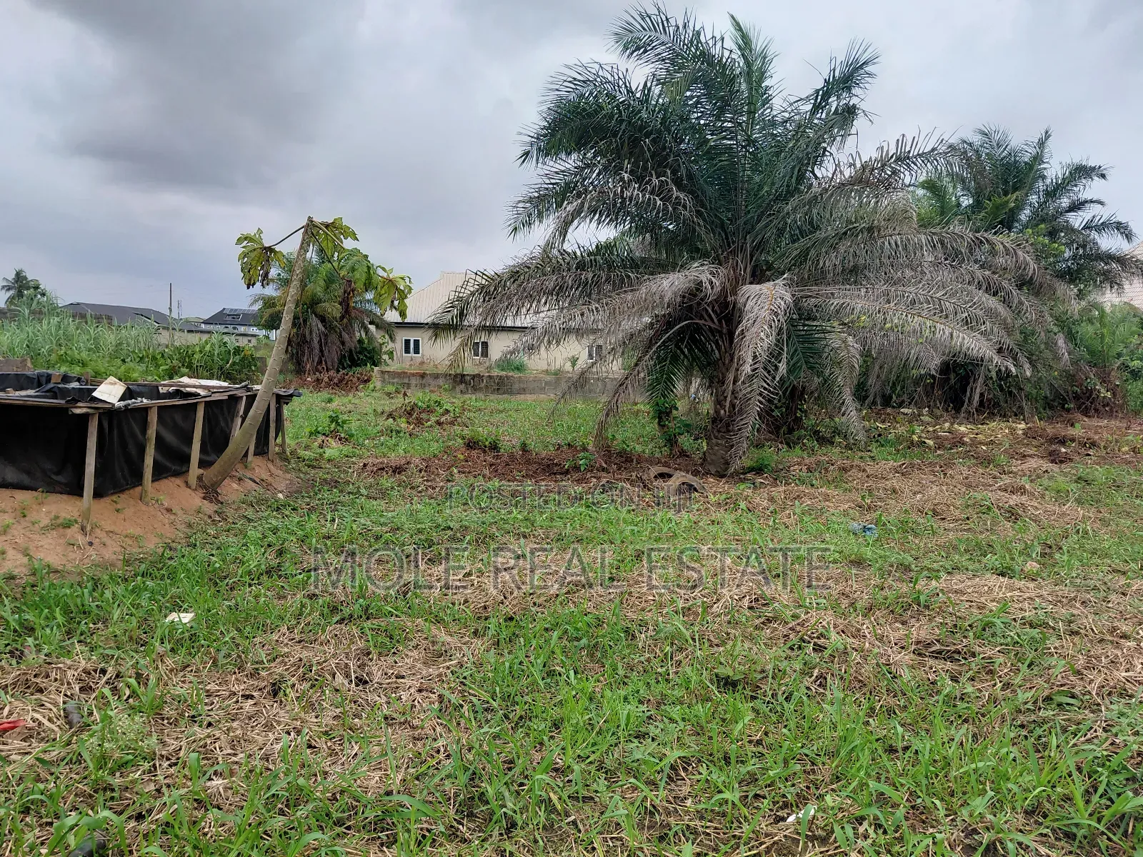 2 Full Dry Plots Opp Adexon Ilado by Value Paint Iguando Alimosho in Ikotun/Igando