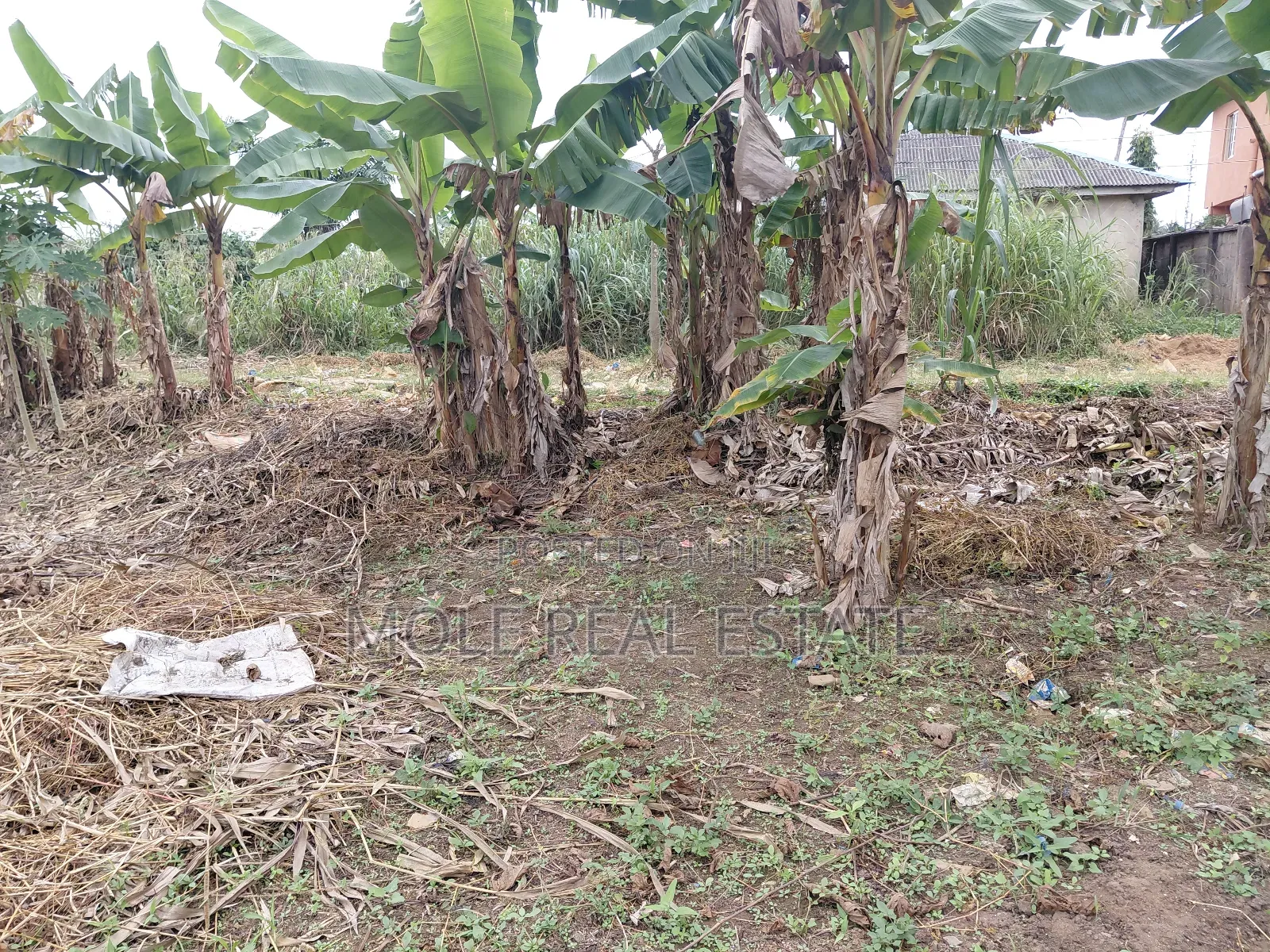 A Plot of Land Opp Adenxon Iguando by Value Paint Alimosho in Ikotun/Igando