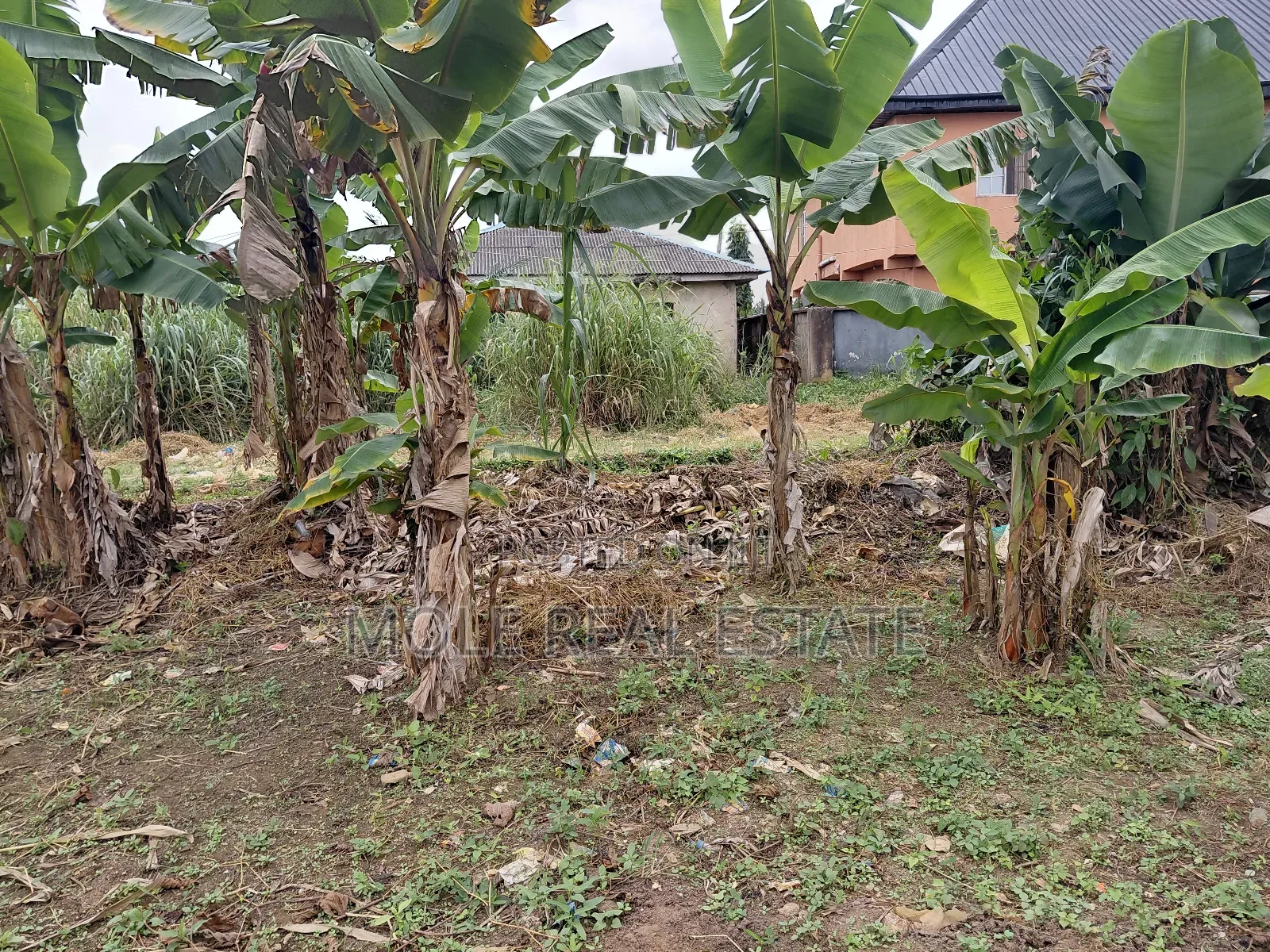 A Plot of Land Opp Adenxon Iguando by Value Paint Alimosho in Ikotun/Igando