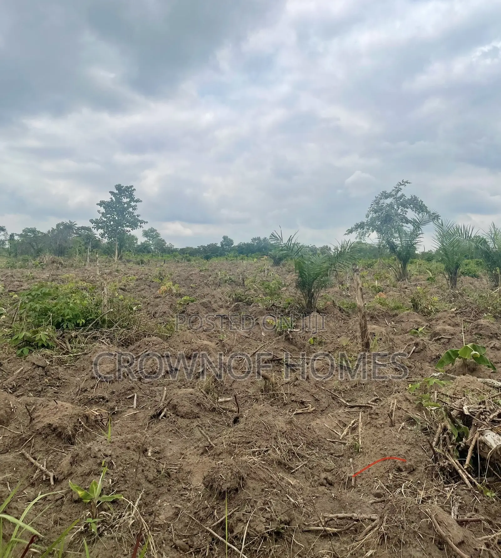 Affordable Farmland in Ogun State. We Can Manage Farm in Abeokuta South