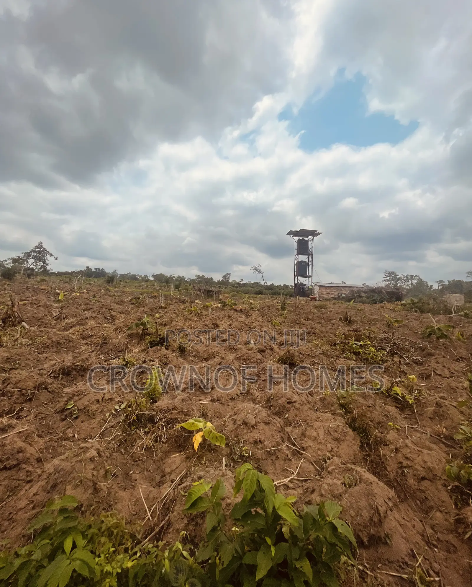 Affordable Farmland in Ogun State. We Can Manage Farm in Abeokuta South