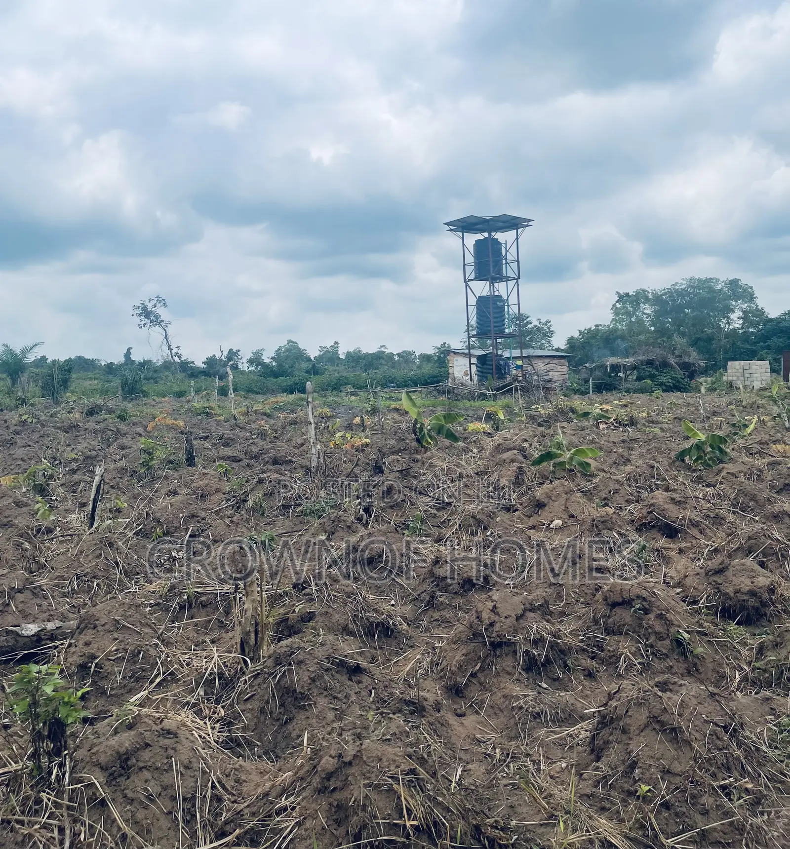 Affordable Farmland in Ogun State. We Can Manage Farm in Abeokuta South