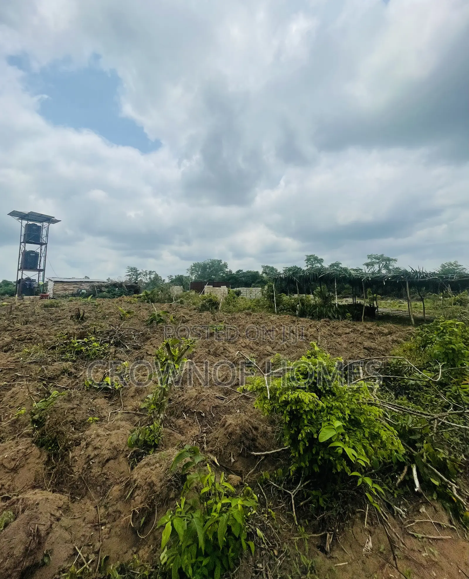 Affordable Farmland in Ogun State. We Can Manage Farm in Abeokuta South