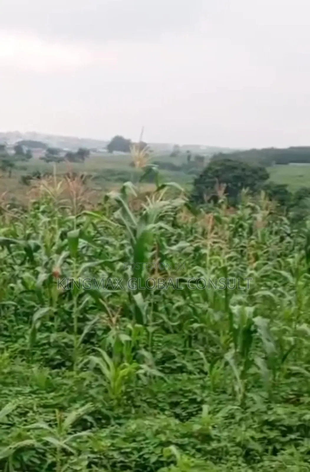 For Sale: Hot Destress Karsana North Plot in Karsana
