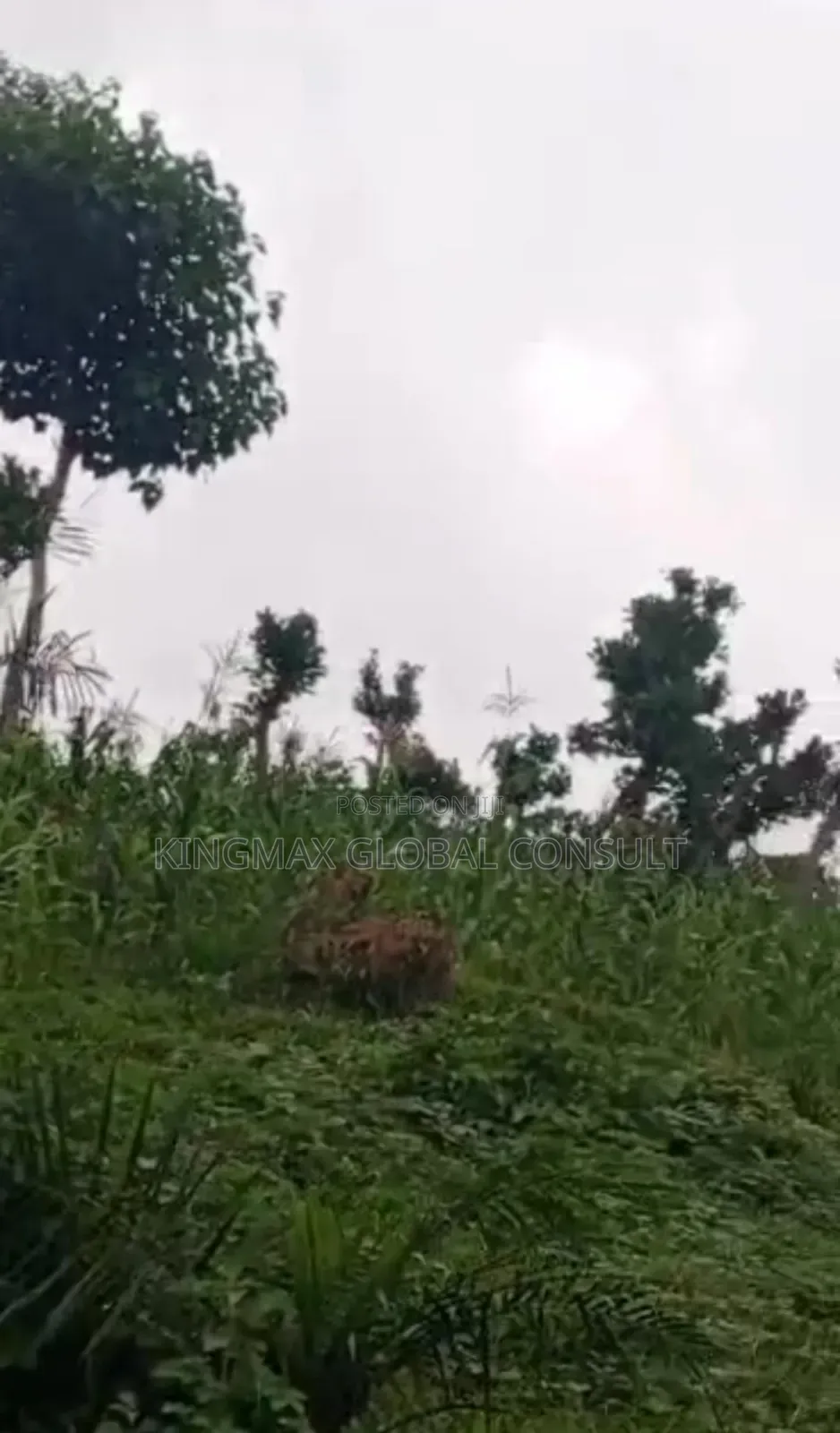 Guzape 2 10.09hectares R of O Mixed Used *(Comprehensive Development) in Guzape District