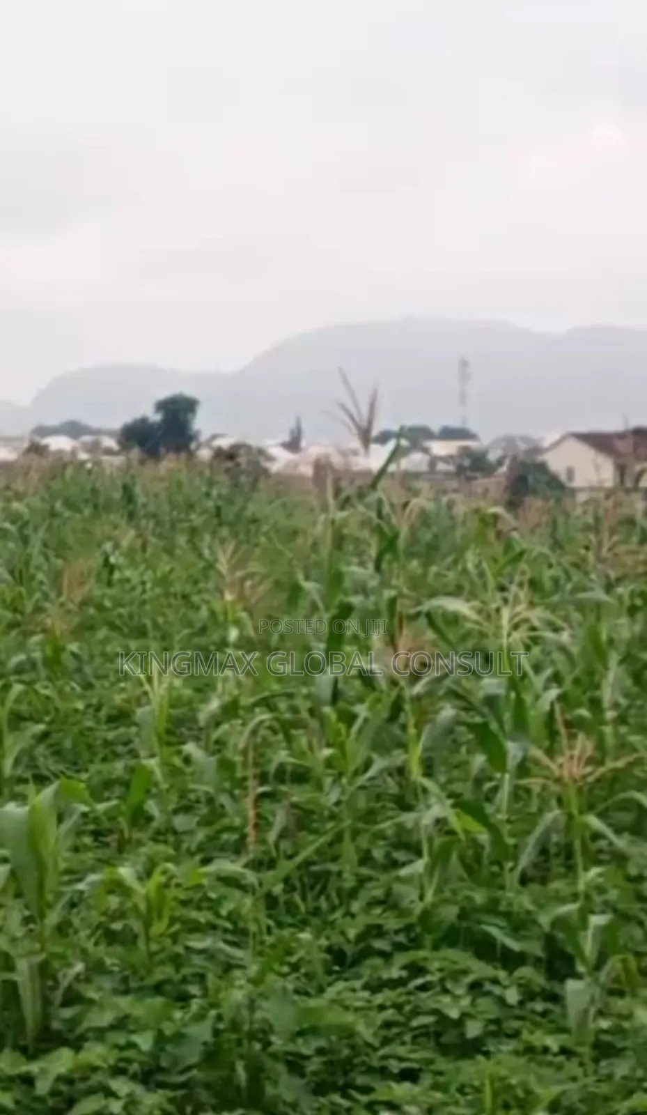Wuse 2 Residential Land Plot No 718 Size 1568sgm C of O in Wuse 2