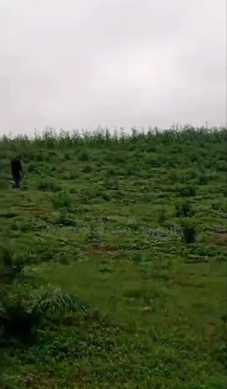 Land for Sale: Fastest Finger: Well Serviced Plot in Wuye District in Wuye