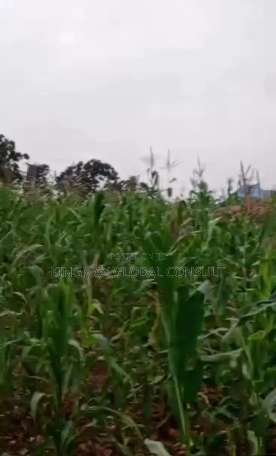 For Sale* District: Asokoro Plot: 16716 Size: 1,828.41m2 in Asokoro