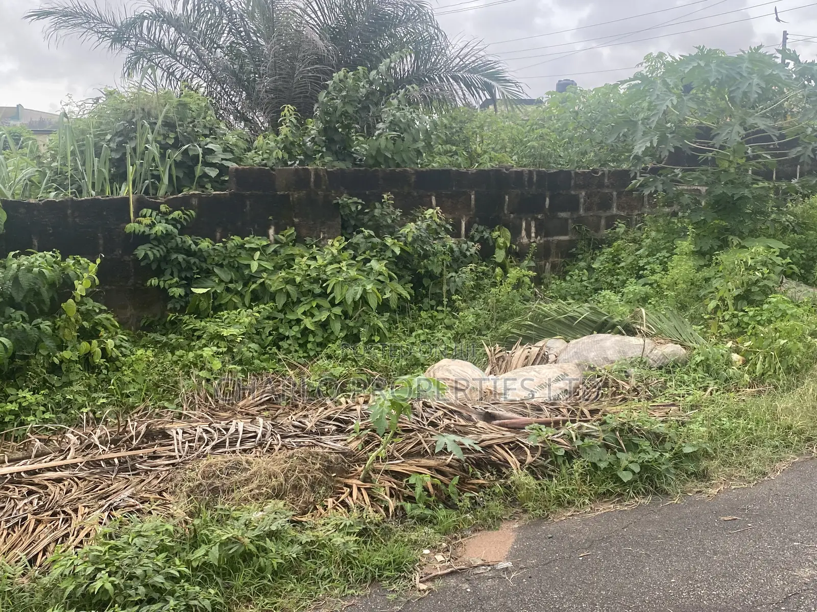 Genuine 100ft by 100ft With C of O in Etete Layout for Sale in Benin City