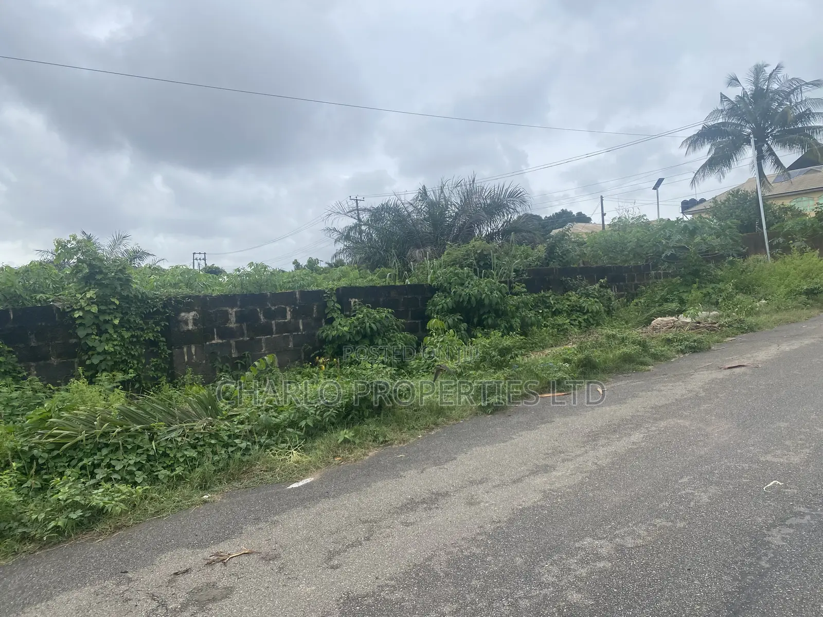 Genuine 100ft by 100ft With C of O in Etete Layout for Sale in Benin City