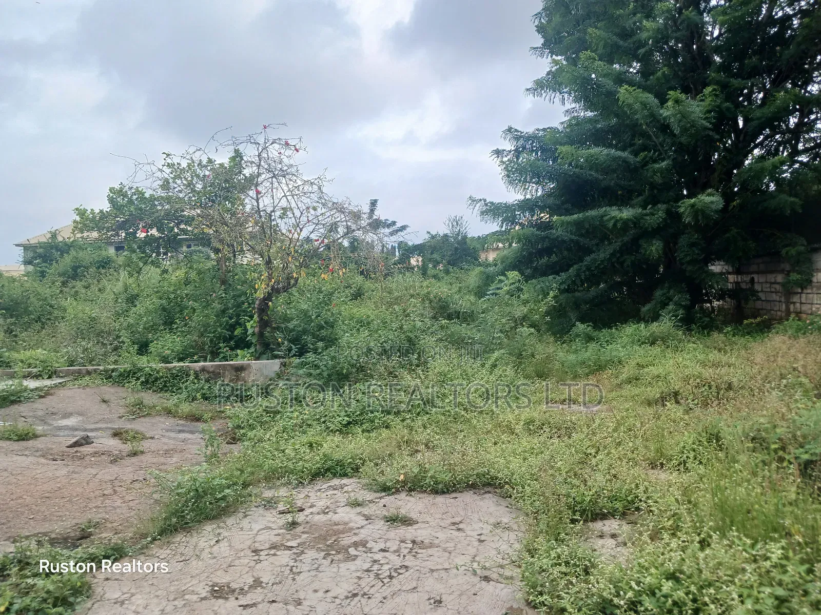 Land Measuring About 2400sm in Ibadan