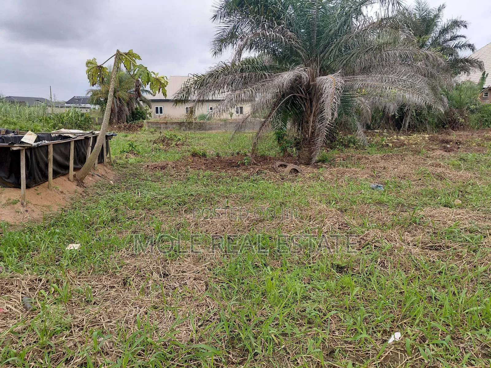 3700sqm Equals 6 Plots by an Estate Shasha in Shasha