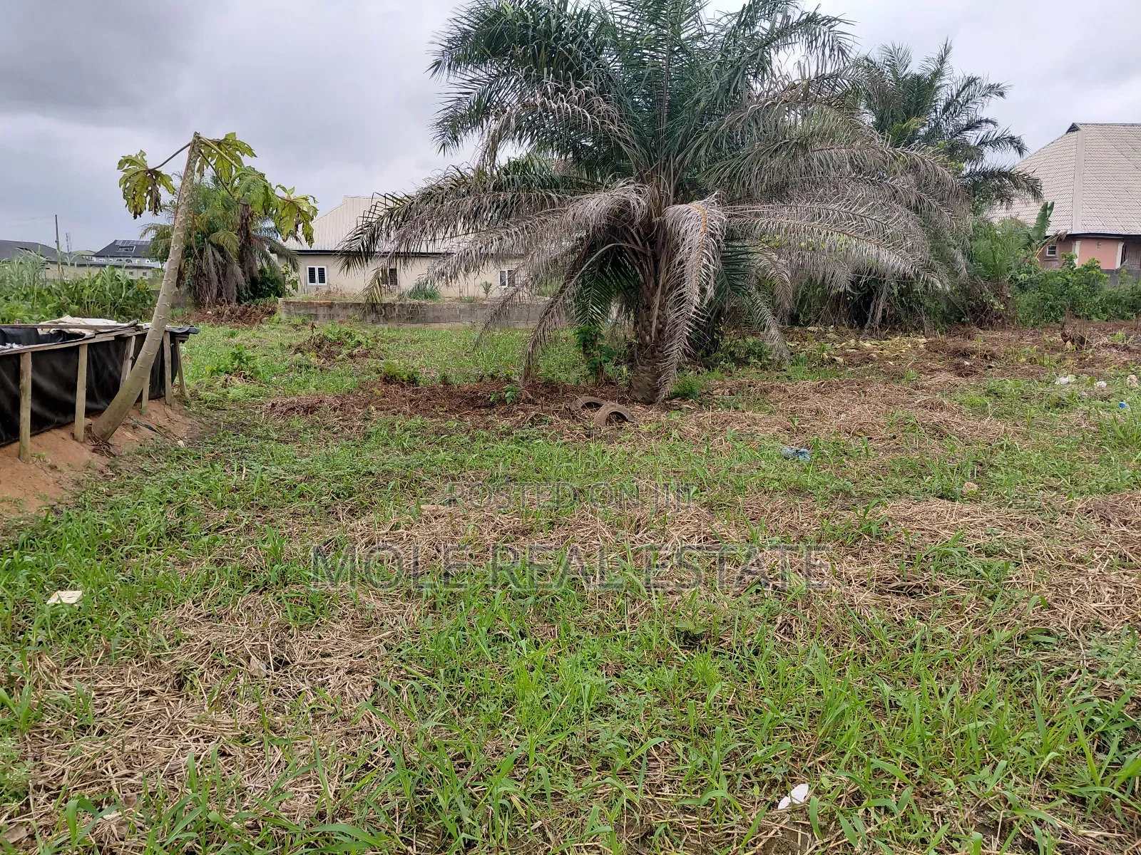 3700sqm Equals 6 Plots by an Estate Shasha in Shasha