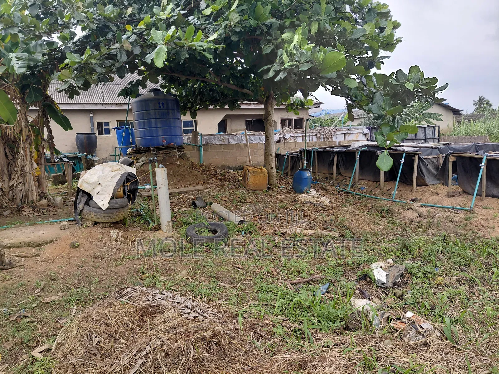 3700sqm Equals 6 Plots by an Estate Shasha in Shasha