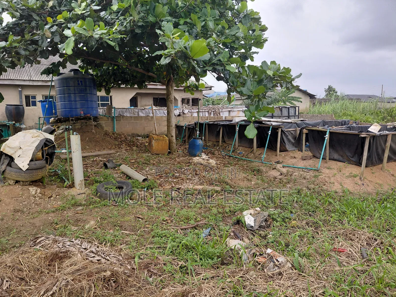 3700sqm Equals 6 Plots by an Estate Shasha in Shasha