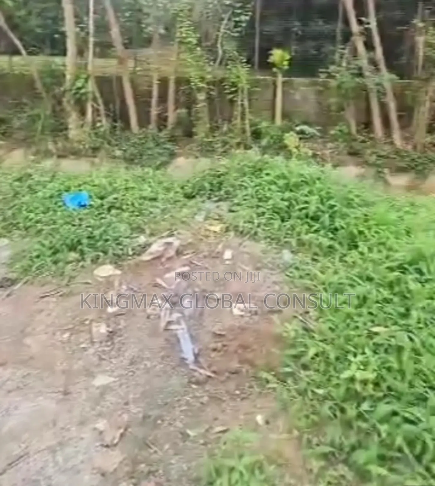A Residential Land in the Heart of Maitama Is Available for Sale: in Maitama