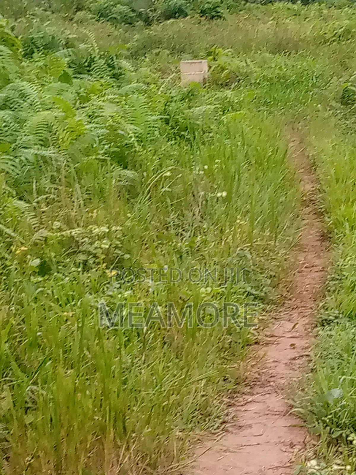 Land for Sale in Epe