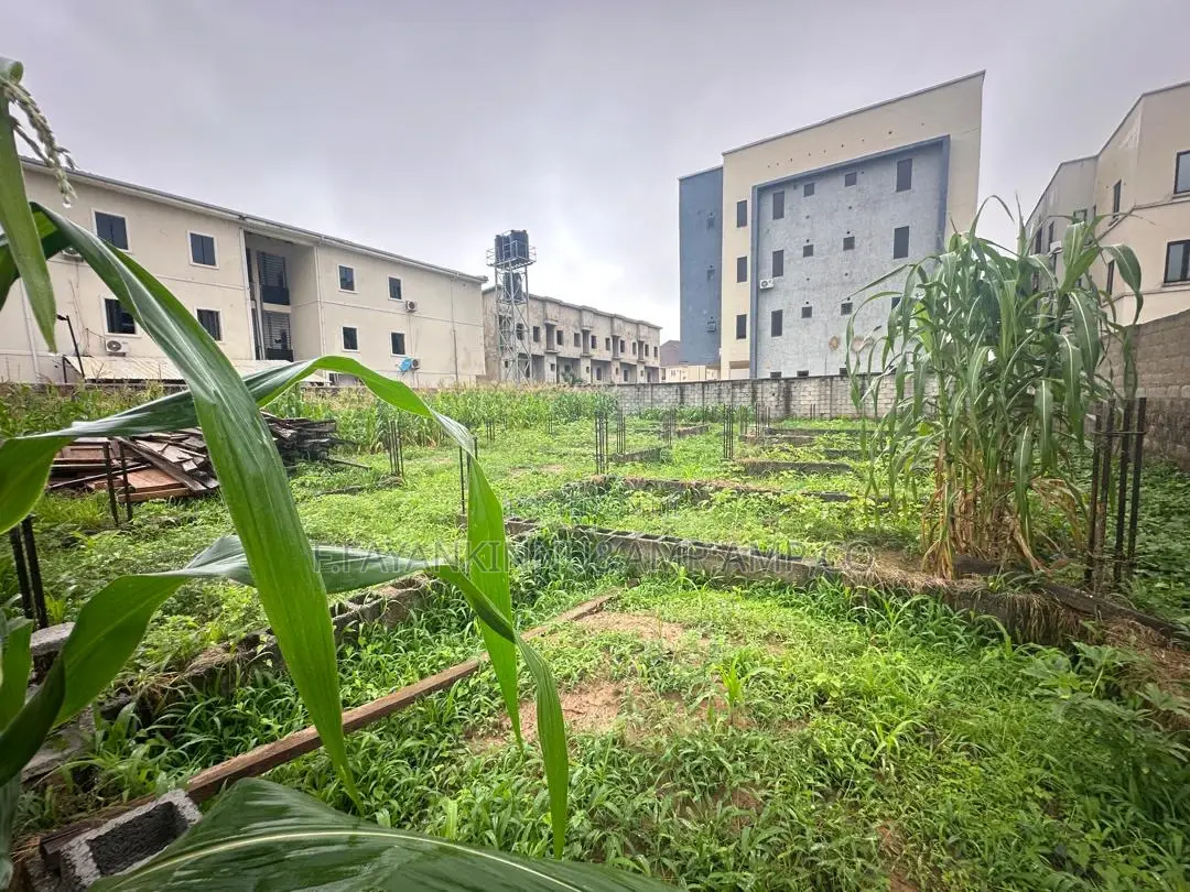 Land for Sale in Jahi