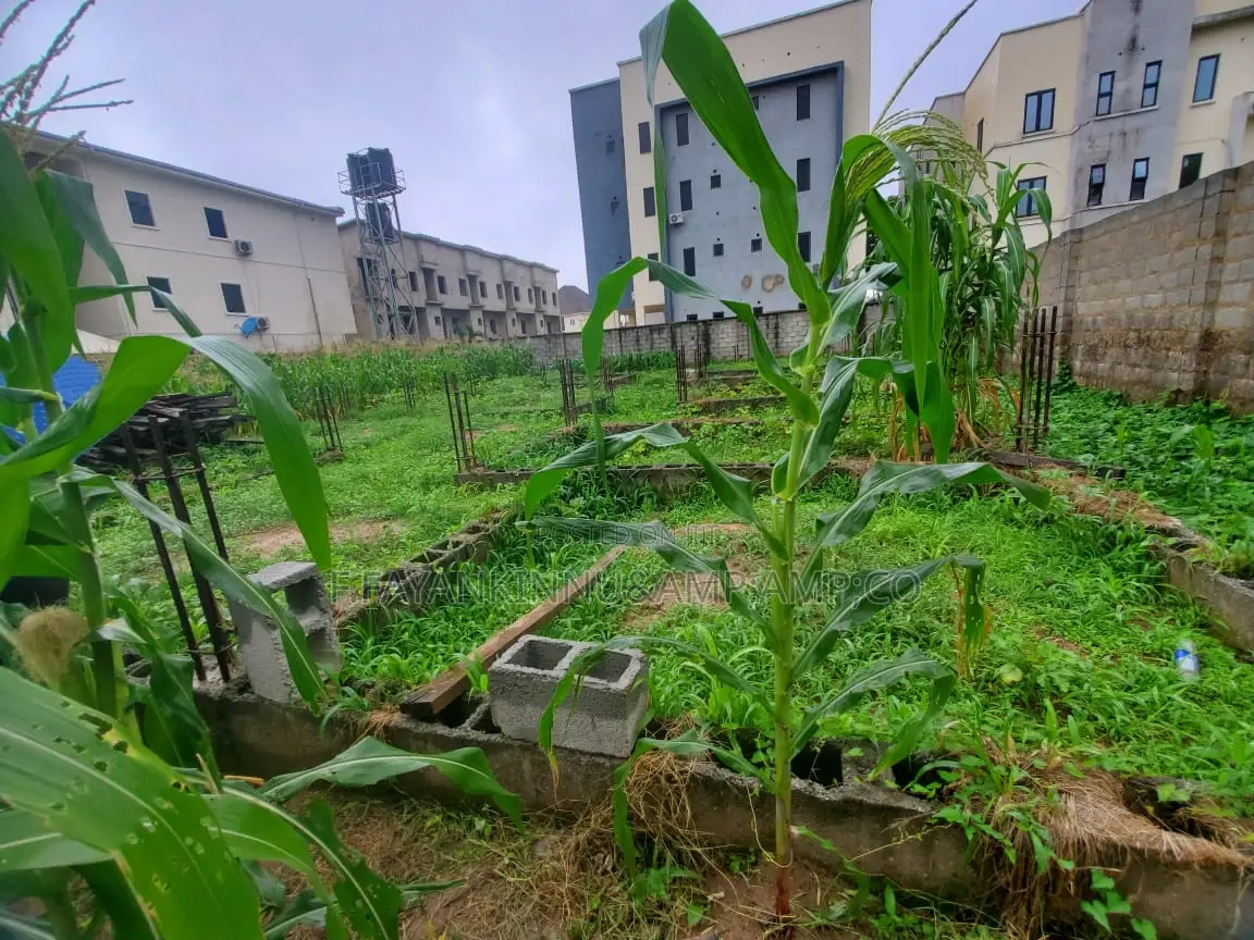 Land for Sale in Jahi