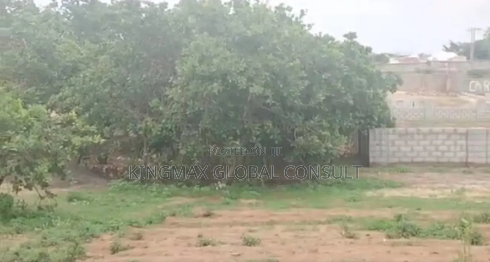 Land for Sale: Size 2,731sqm C of O Price 500m Tarrad Road in Dape