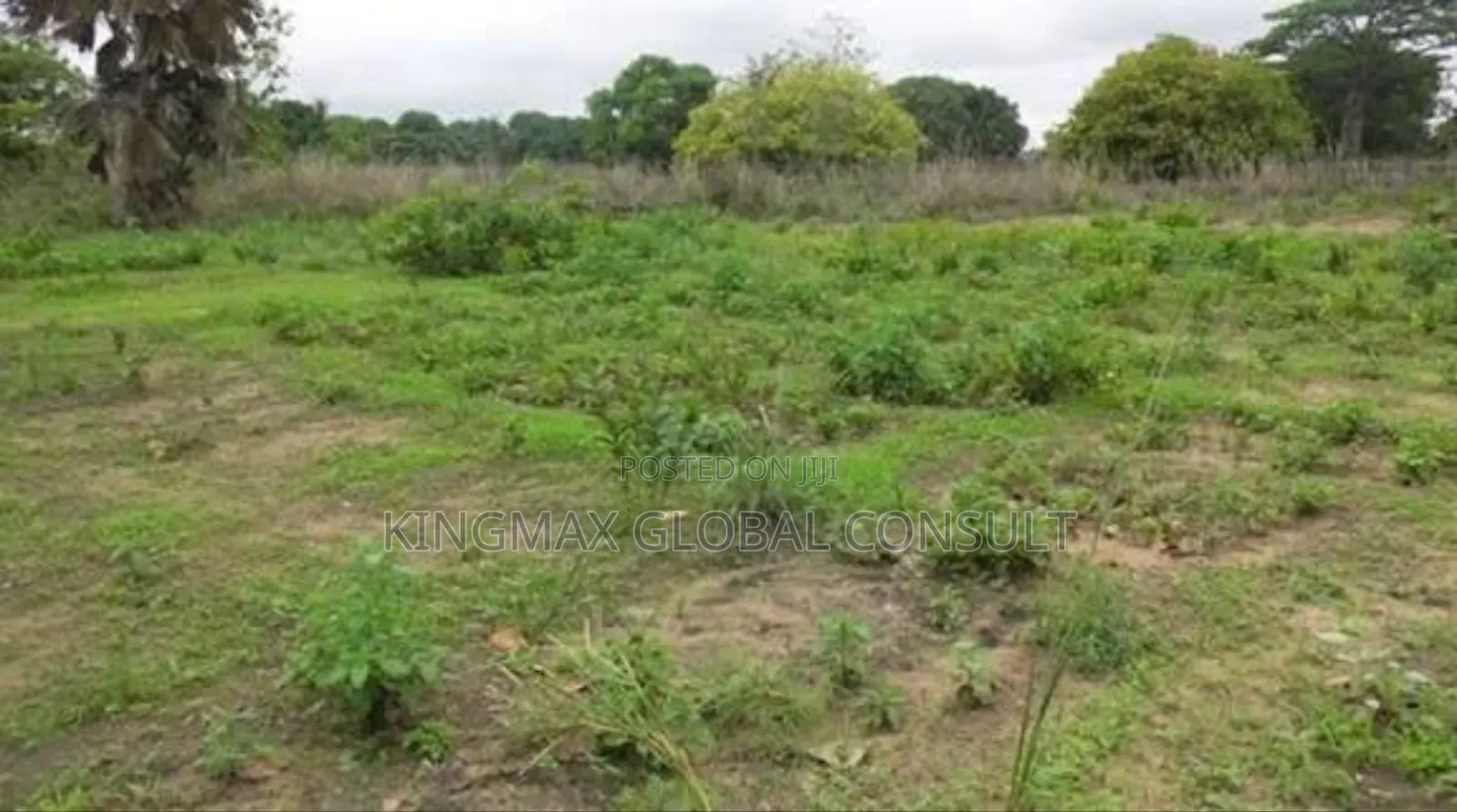 Land for Sale at Dakibiyu
Size 1,232sqm
C of O
Residential in Dakibiyu