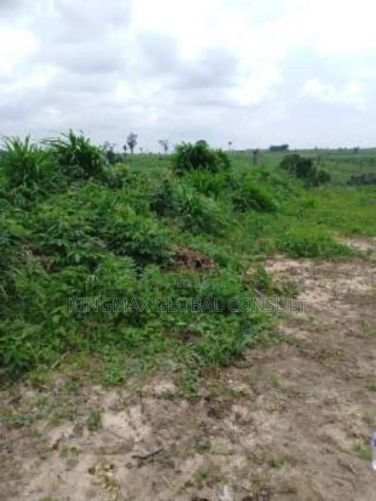 Land for Sale at Jabi Jabi
Size 1,852sqm
For Multi Purpose in Jabi