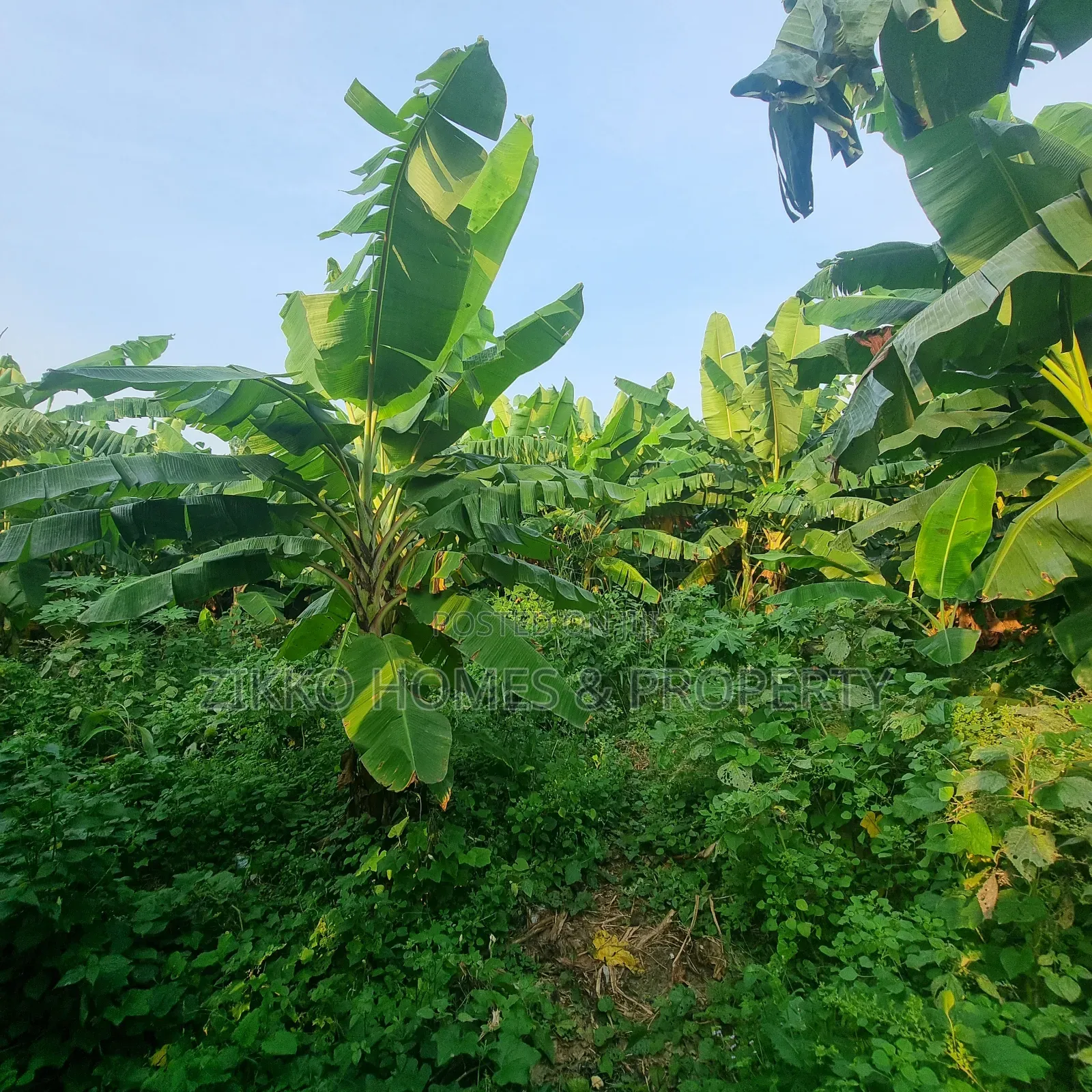 600sqm of Land for Sale at Sangotedo in Lekki