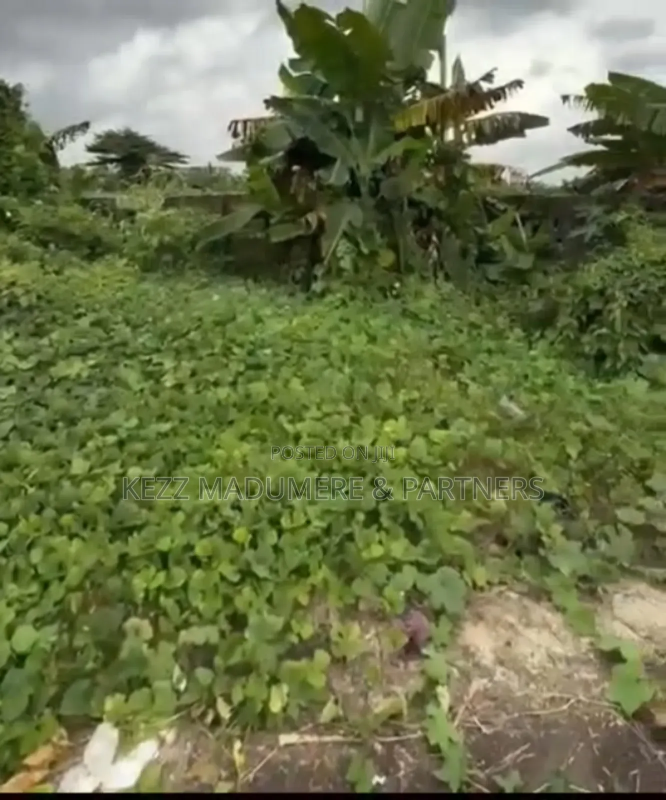 For Sale : One Plot of Land at Gra Phase 8, Opp Naf Harmony Est Eliozu in Port-Harcourt