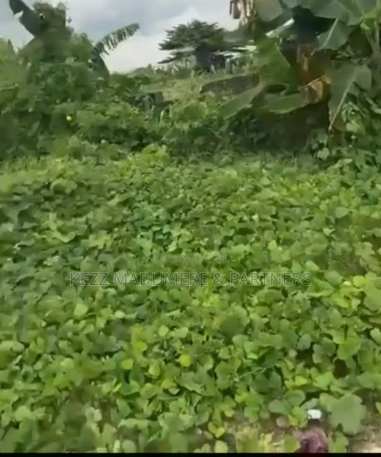 For Sale: 893 SQMTS of Land at Gra Phase 8, Eliozu Port Harcourt in Port-Harcourt