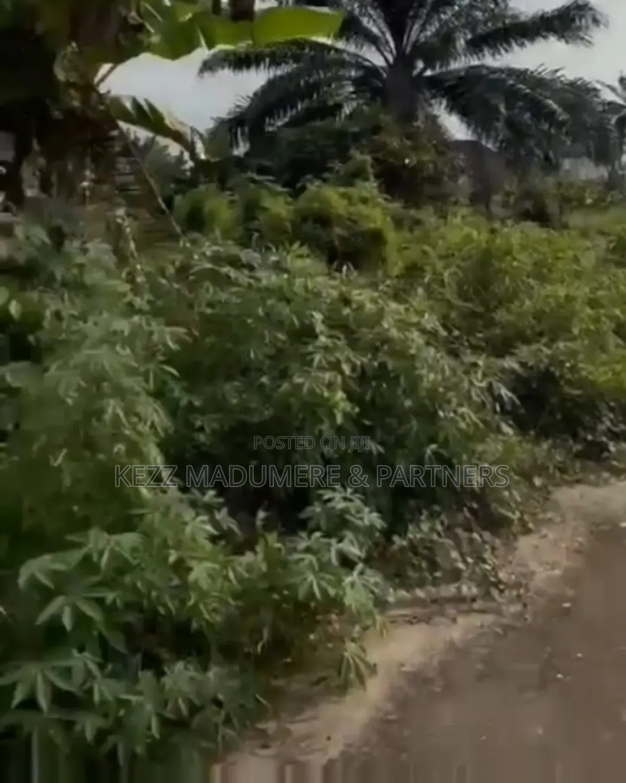 For Sale: 3 Plots at Gra Phase 8 ,Eliozu ,Port Harcourt in Port-Harcourt