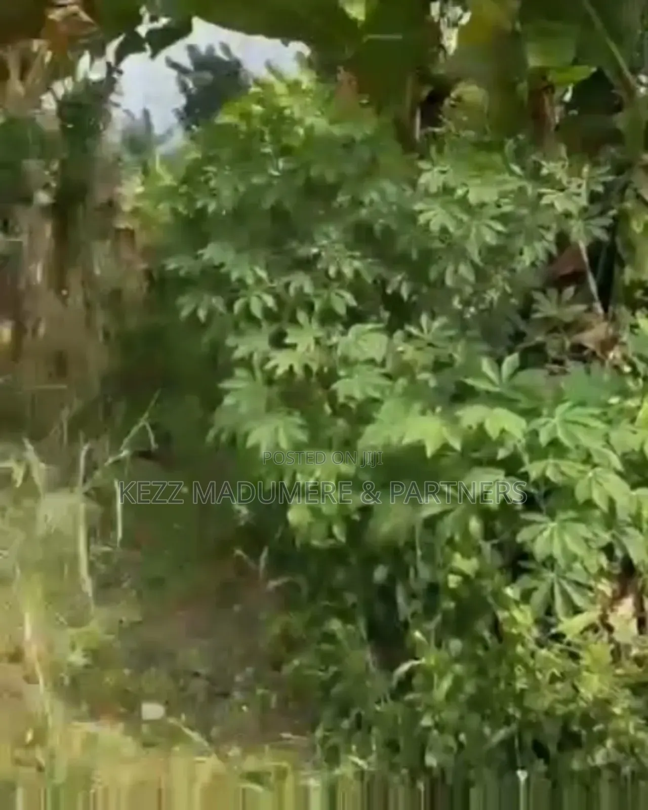 For Sale: 3 Plots at Gra Phase 8 ,Eliozu ,Port Harcourt in Port-Harcourt