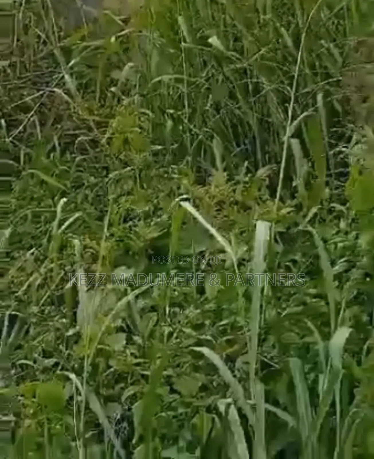 For Sale: 21⁄2 Plots Before Ait on the Major Nta Road, Ph in Port-Harcourt