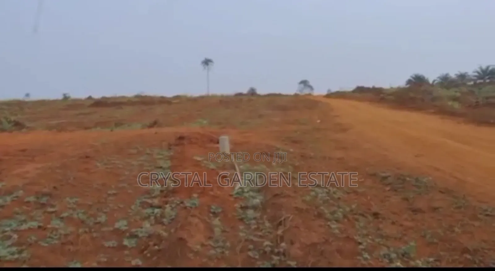 50x100sq.Meter: Land for Sale at Ezi Nkwelle Thru Express. in Anambra East
