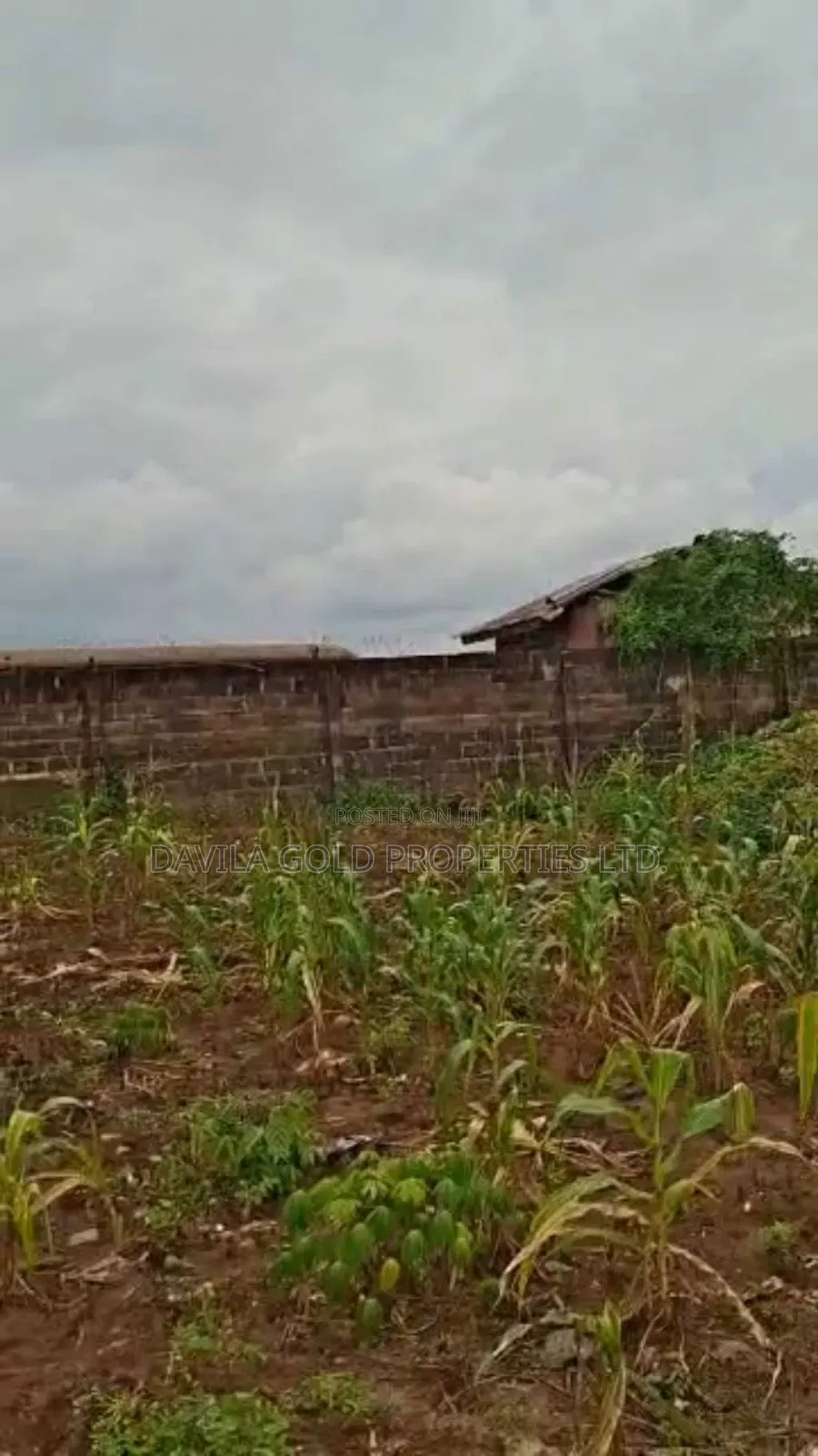 Hot in the Marke!! Land in Etete for Sale in Benin City