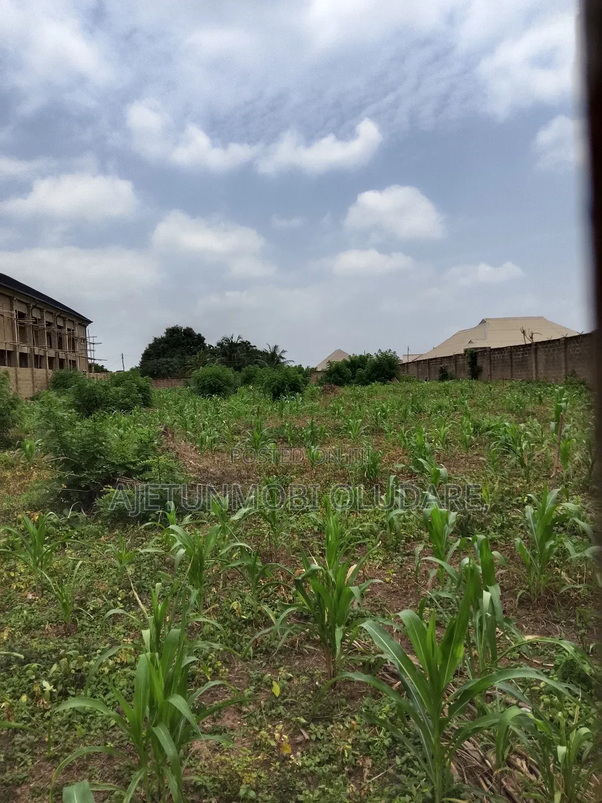 Lands and Plots for Sale in Ado Ekiti