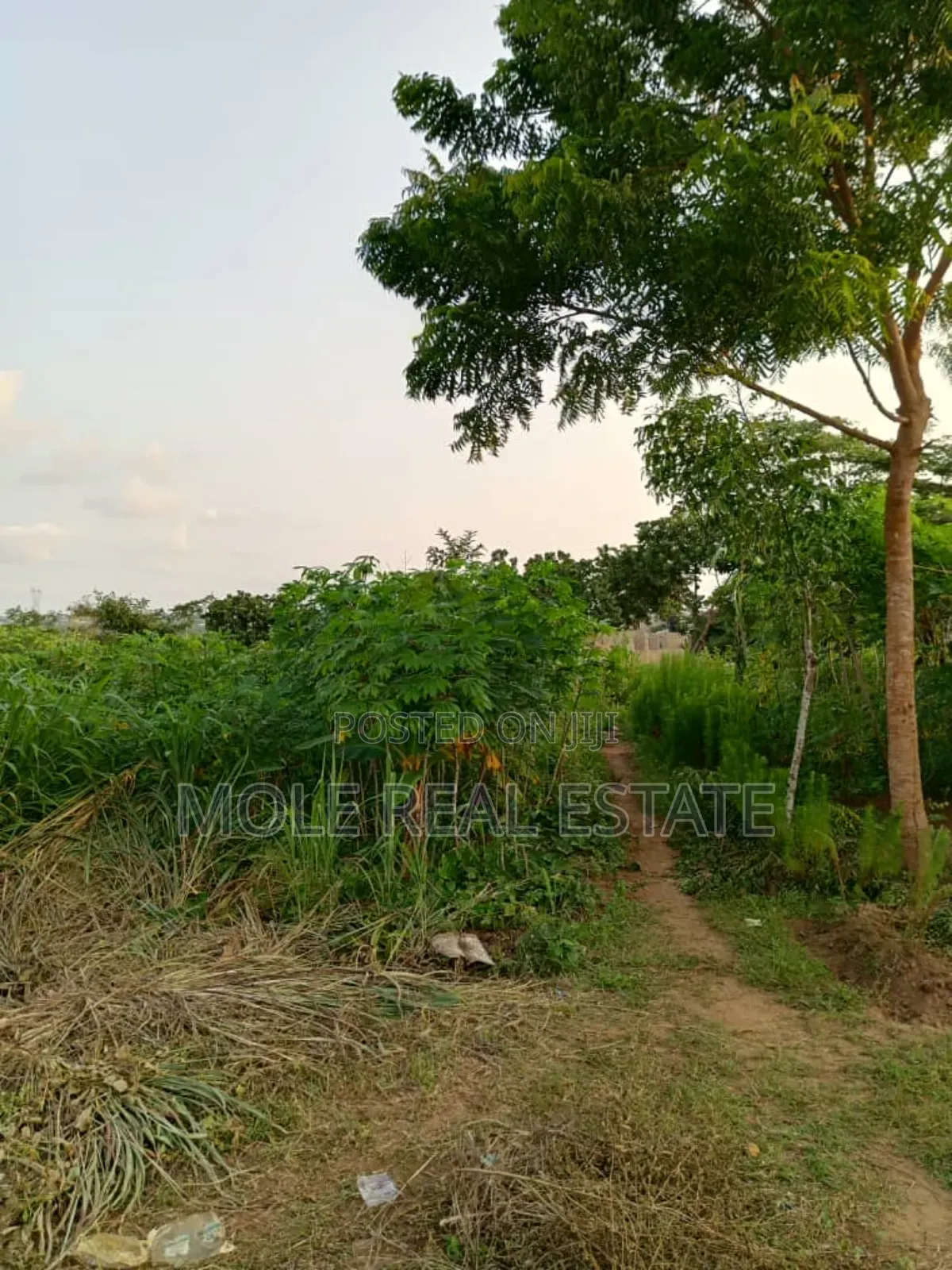 277 Acers Along Bigi Drinks Shagam / Ijebu Odo Rd in Sagamu