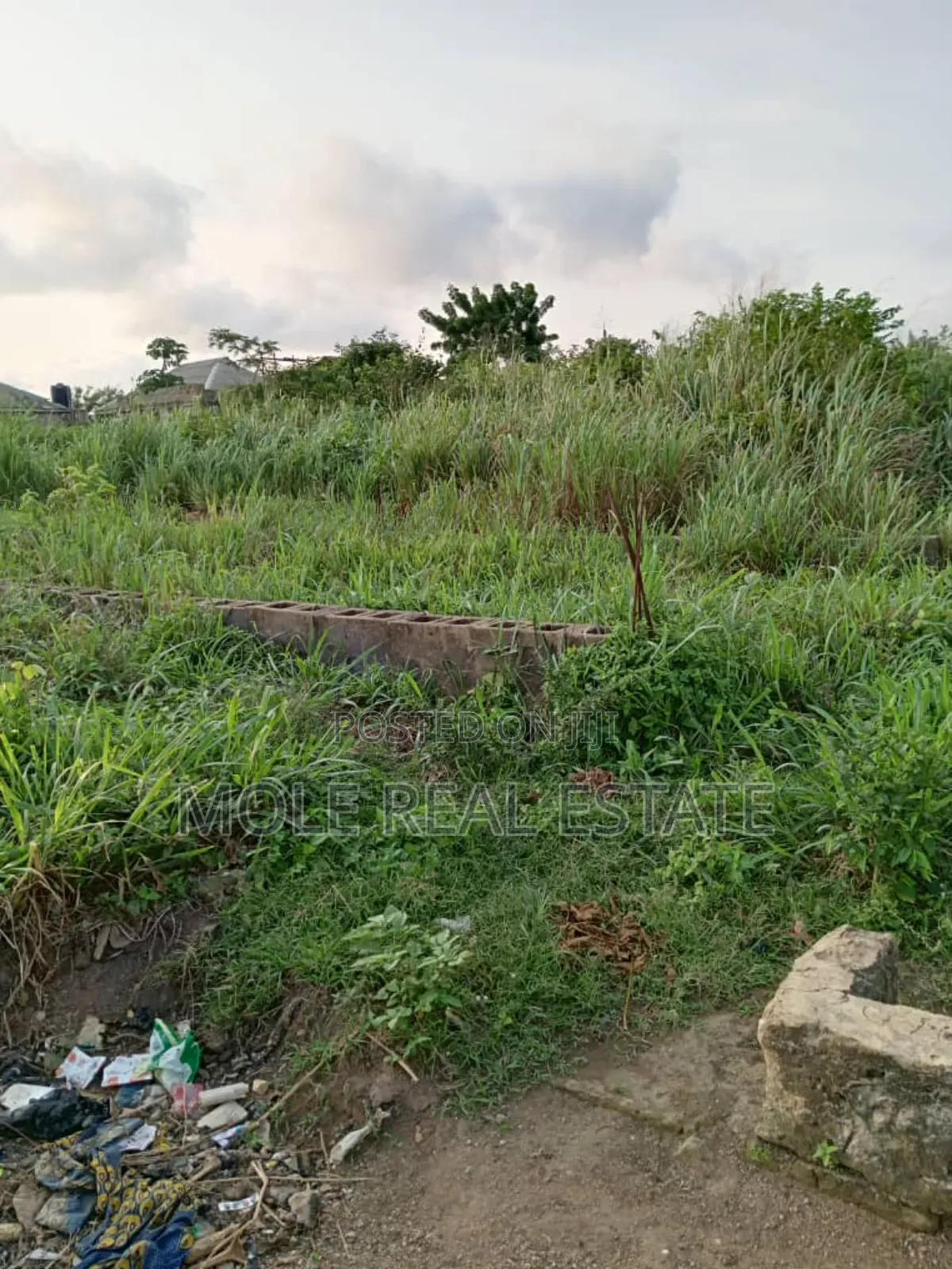 277 Acers Along Bigi Drinks Shagam / Ijebu Odo Rd in Sagamu