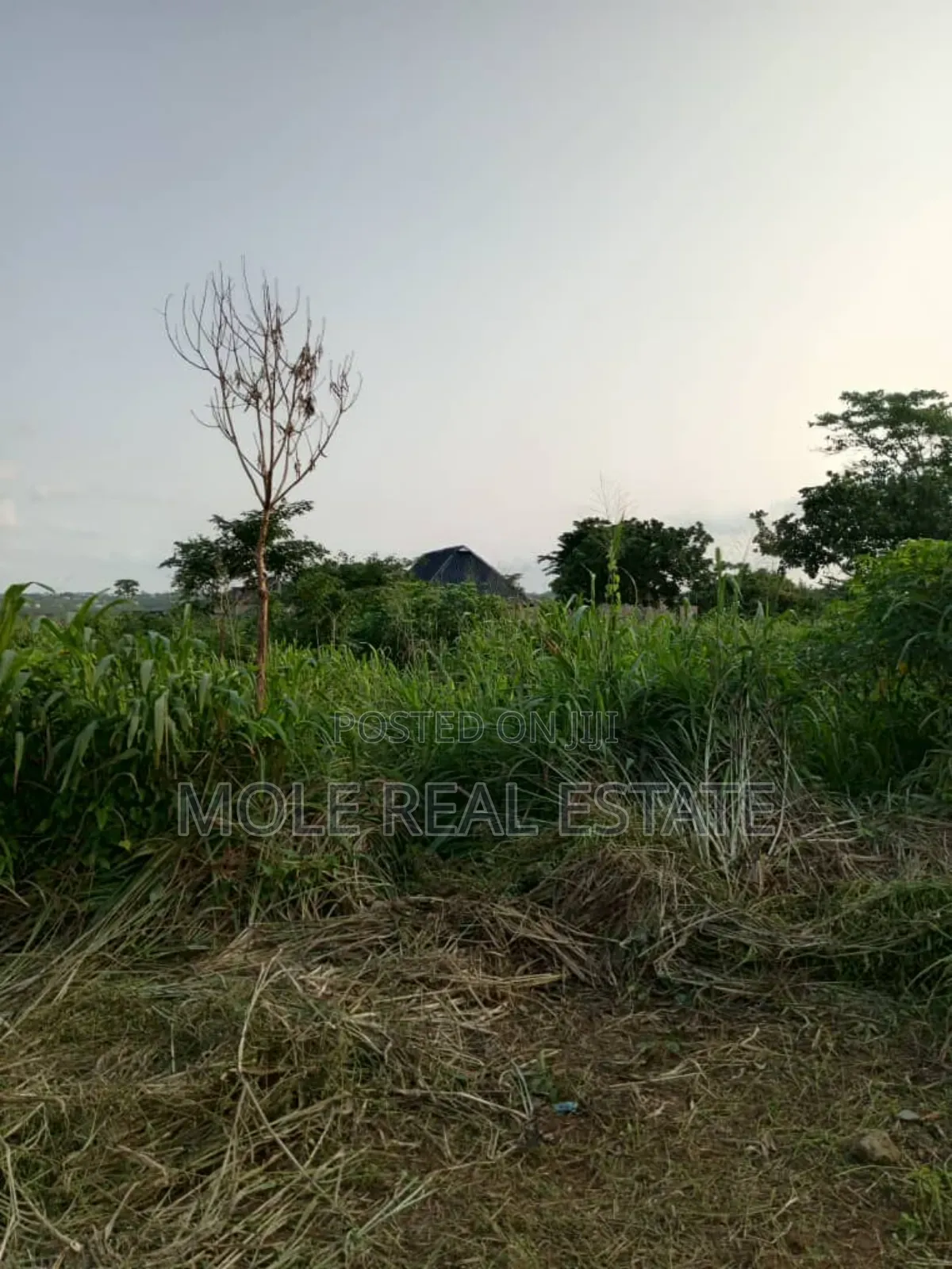 A Plot of Land Anifowose Ikeja Close to Airport in Ikeja
