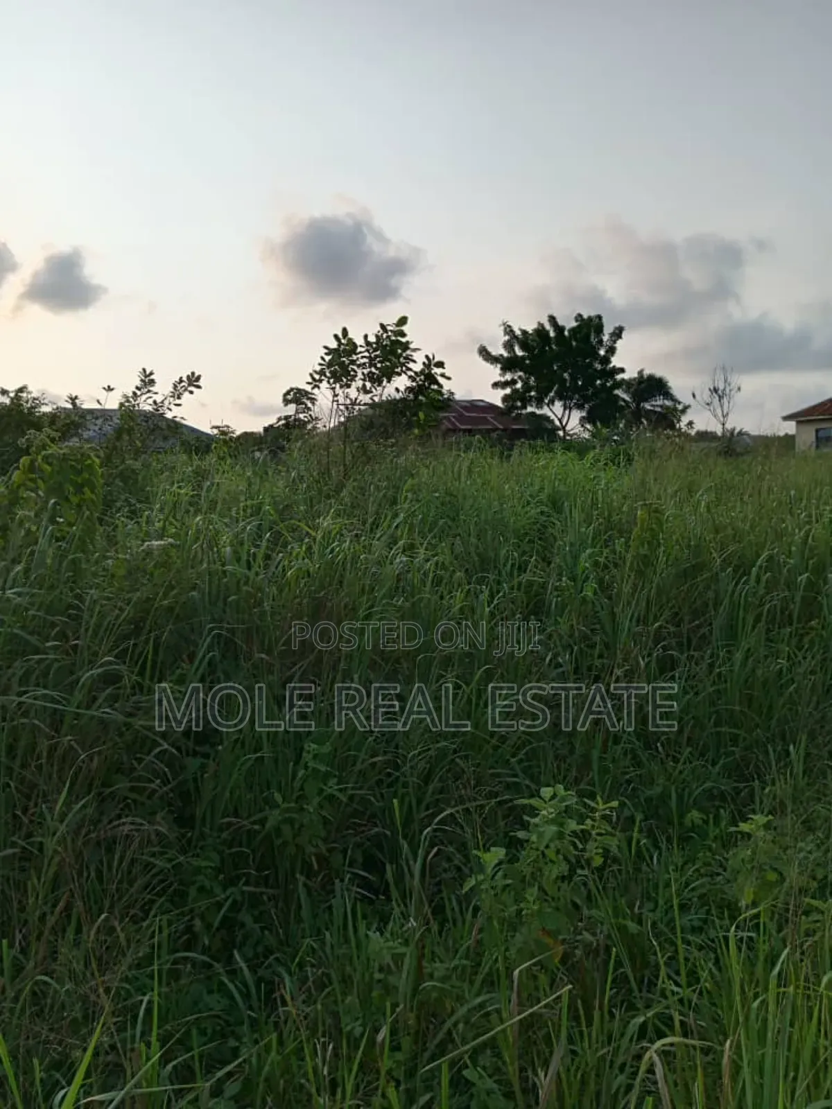 700sqm Demolishable Obasa Estate Oba Akran Ikeja Lagos in Ikeja