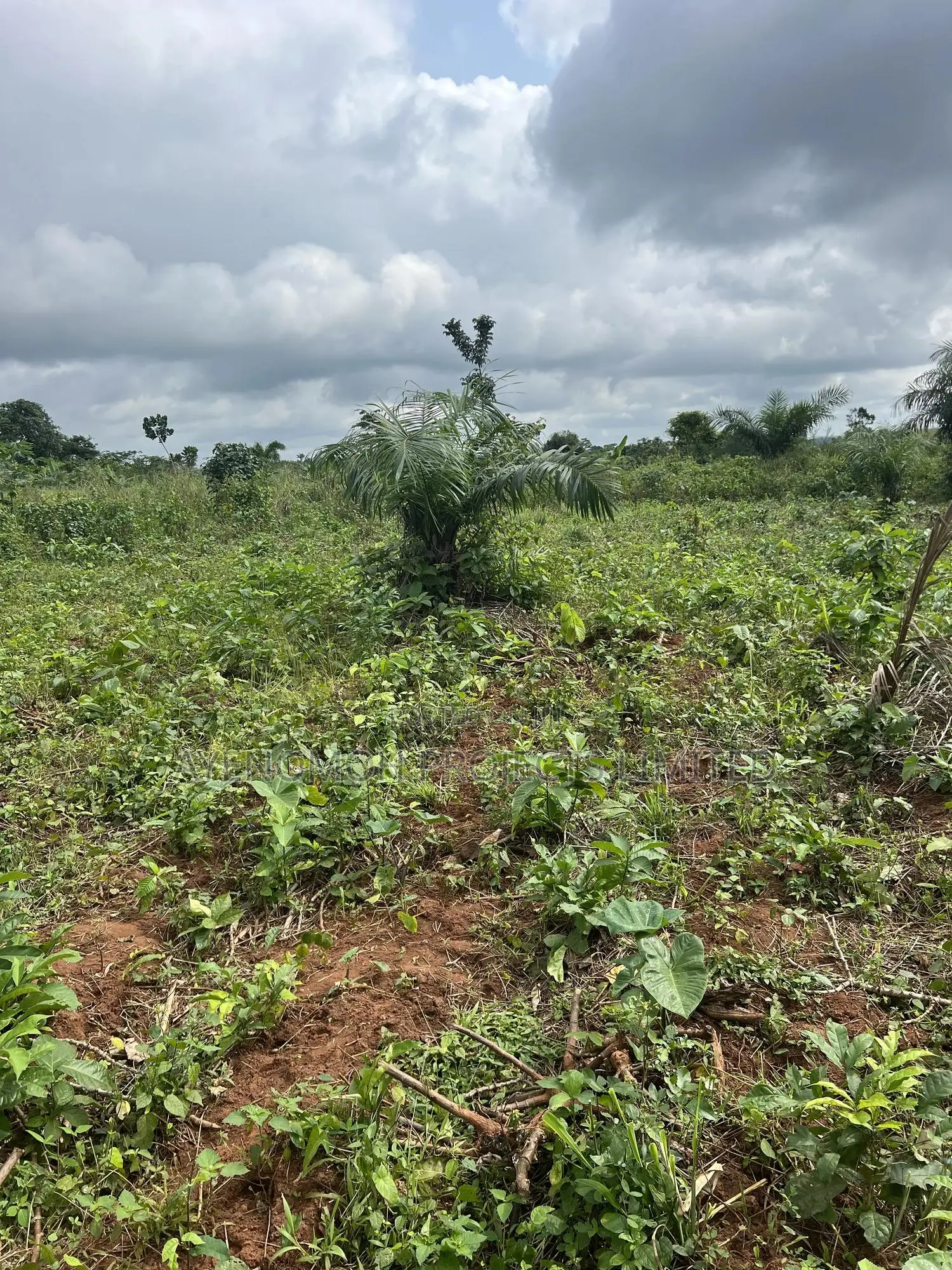 1 Acre of Farmland for Sale in Ado-Odo/Ota