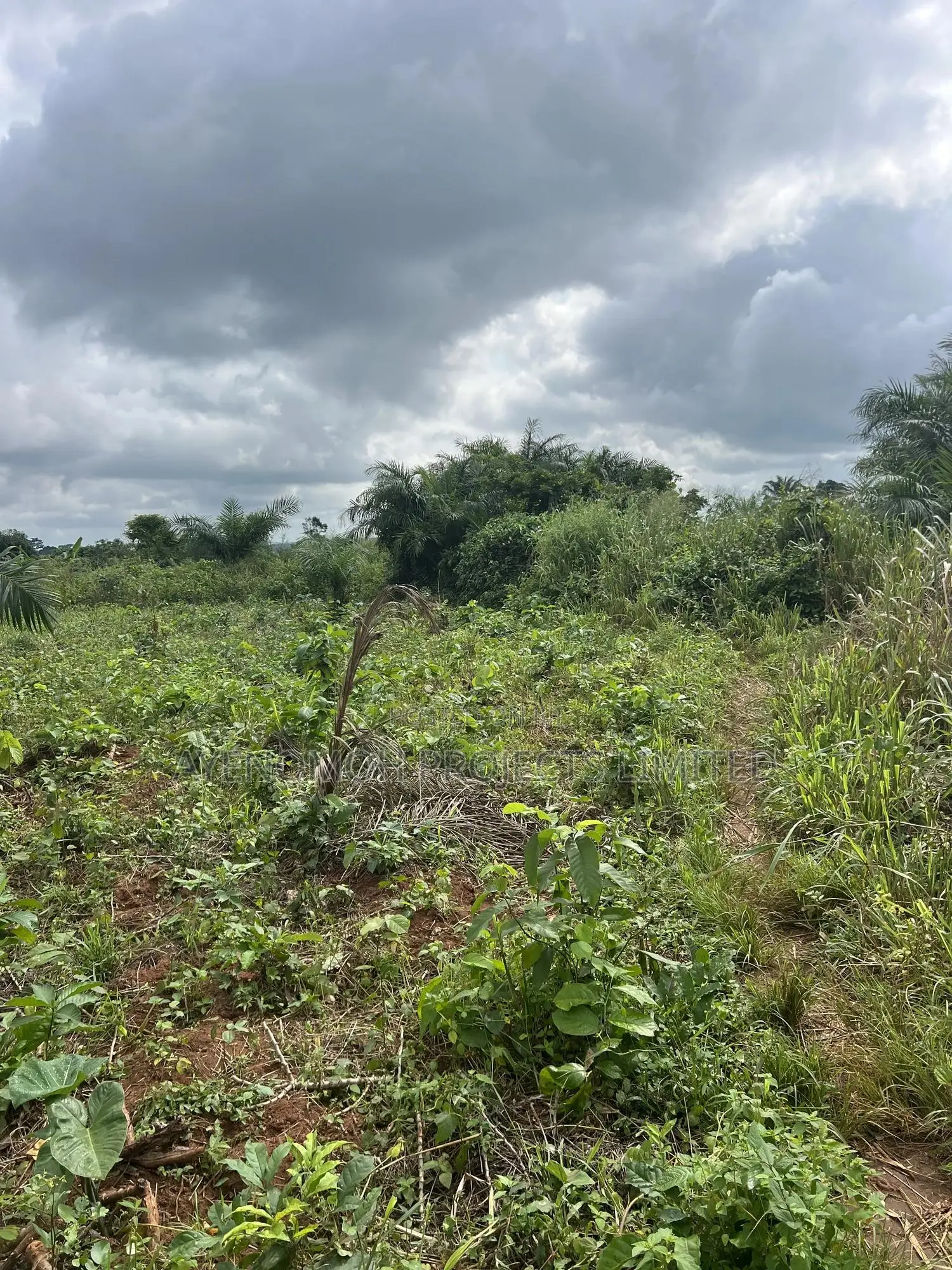 1 Acre of Farmland for Sale in Ado-Odo/Ota