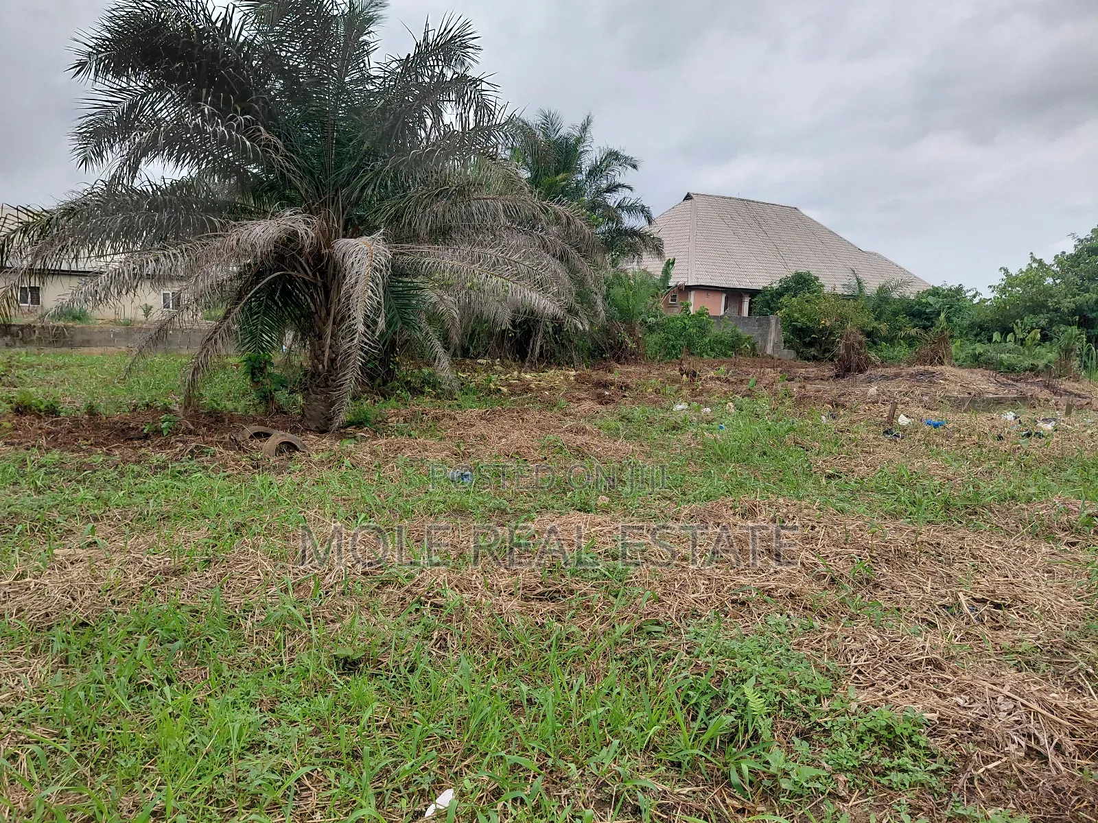2 Plots of Land Facing Ikotun Roundabout Eco Bamk Carpark in Ikotun/Igando