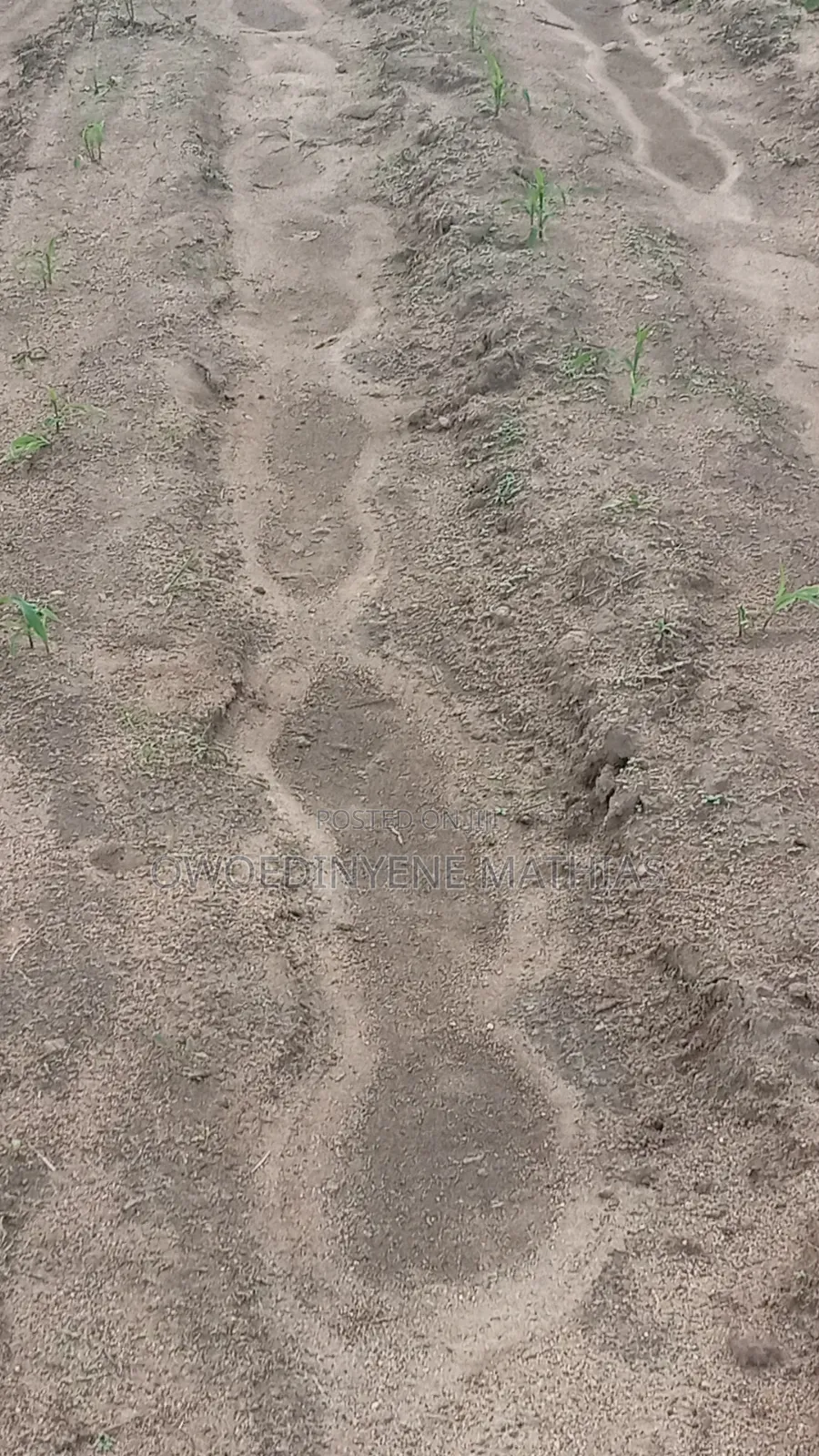 Real Estate Land at Kabusa -Sherriti in Kabusa