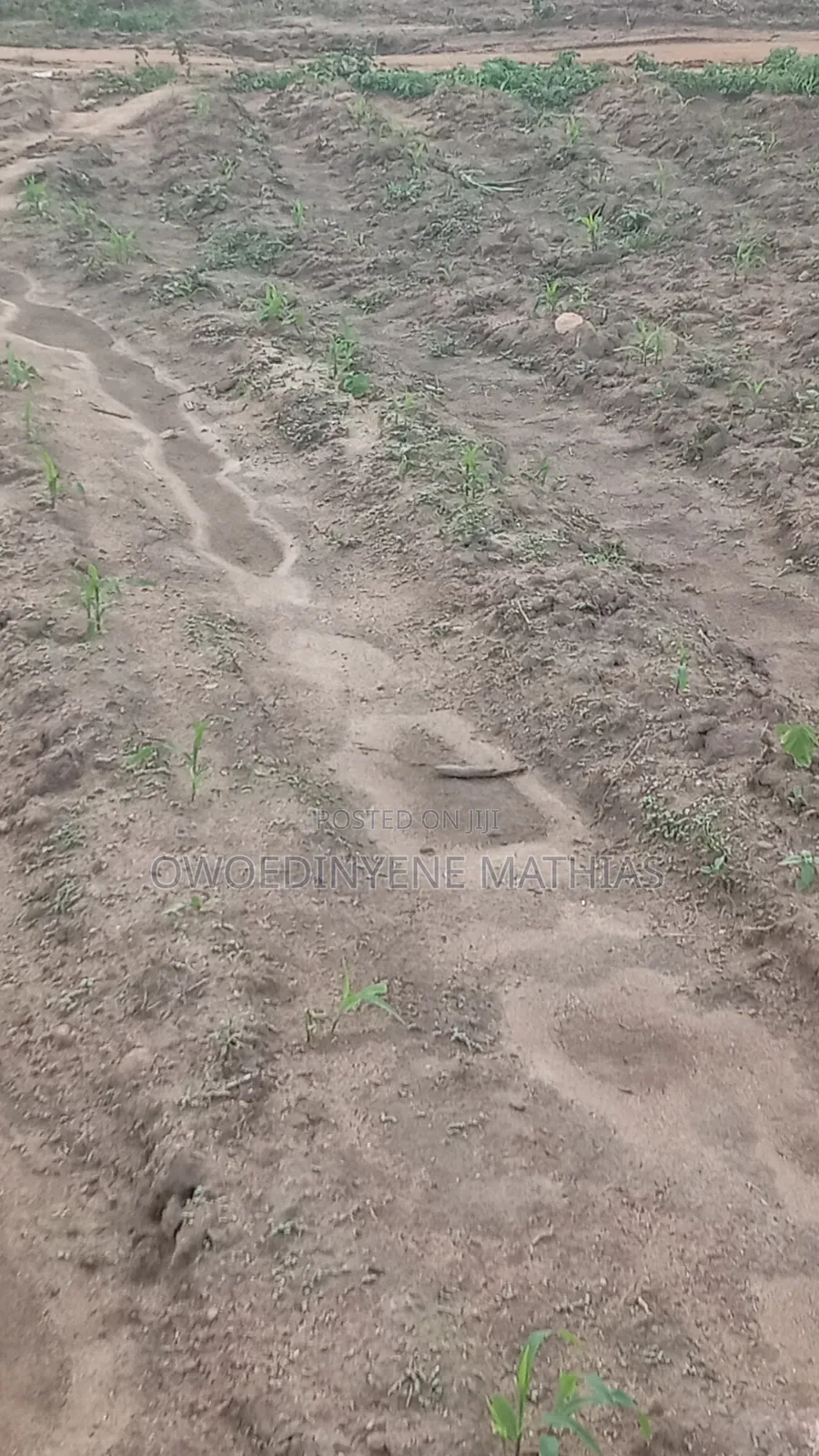Real Estate Land at Kabusa -Sherriti in Kabusa