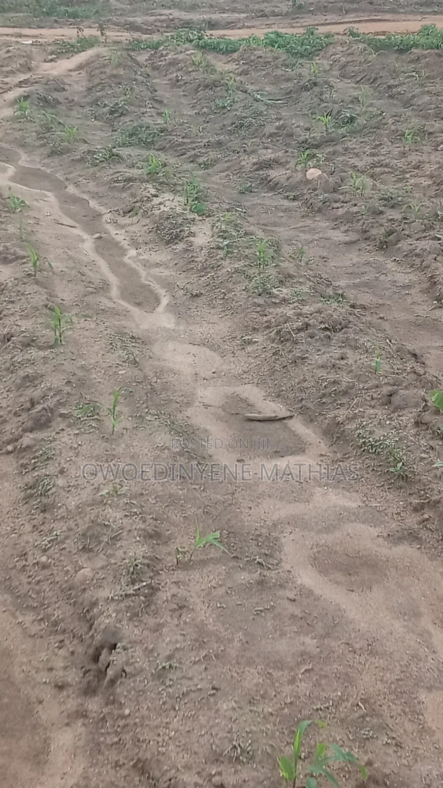 Real Estate Land at Kabusa -Sherriti in Kabusa