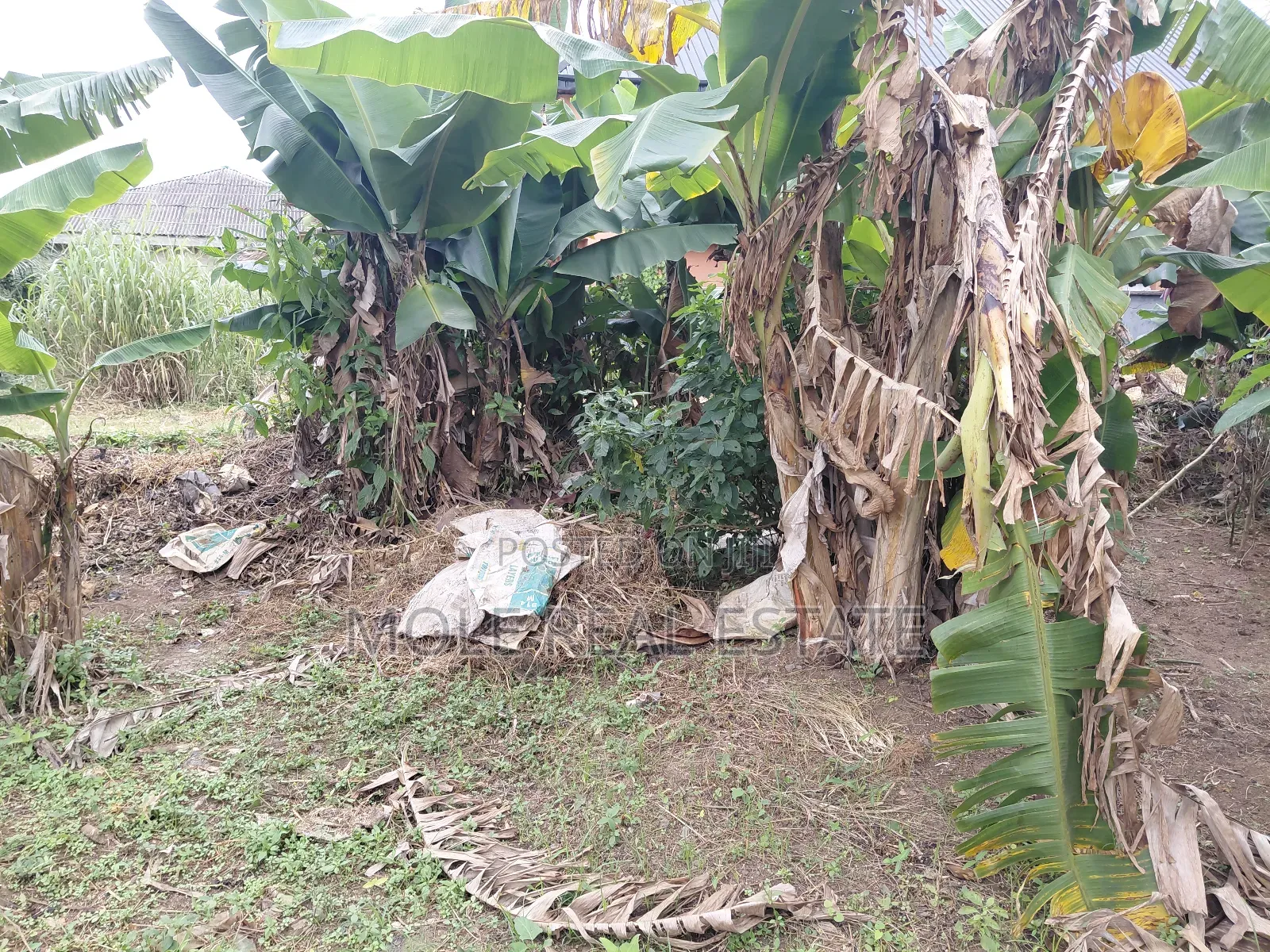 800sqm Plot With a Warehouse Mass Burial Okeafar Isolo Ejigbo Rd in Oke-Afa