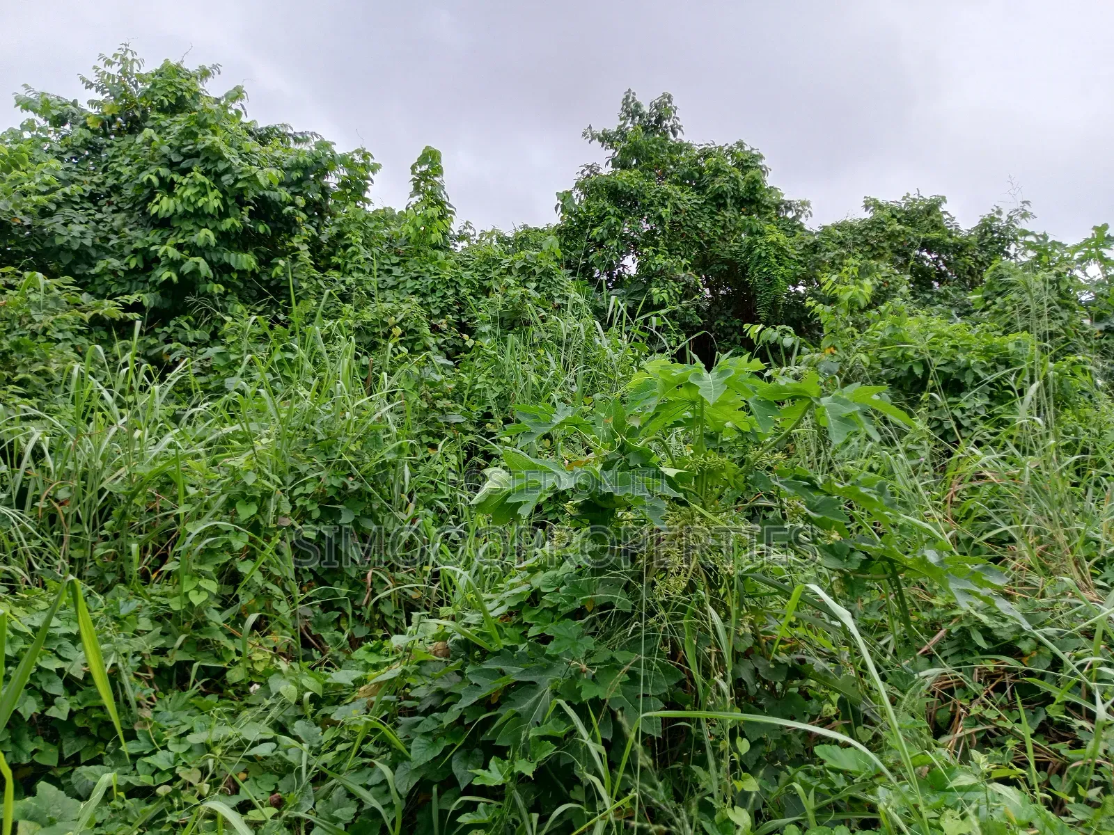A Plot of Corner Piece Land Beside Ogunfayo Palace for Sale in Awoyaya