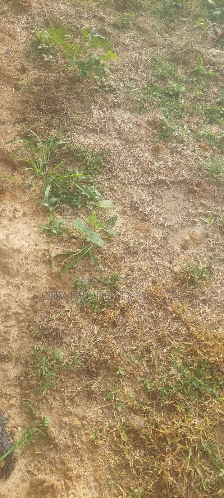 1100 SQM of Land With Structure for Sales at Maitama Abuja in Maitama